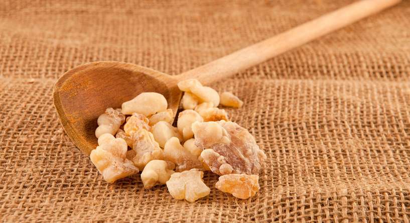 فوائد علك اللبان للحامل