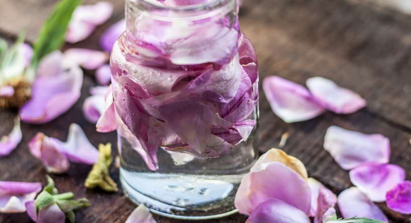 خطوات صنع ماء الورد في المنزل