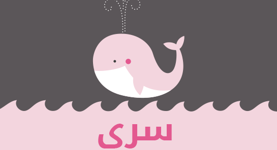 ما معنى إسم سرى؟