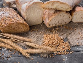 Bread, Food, Bun