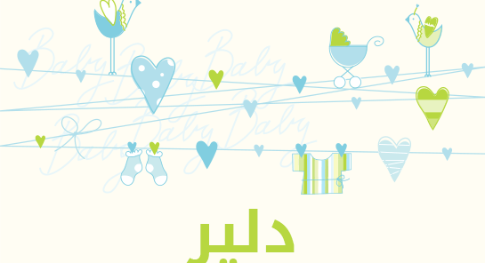 معنى اسم دلير