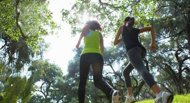 Person, Human, Vegetation