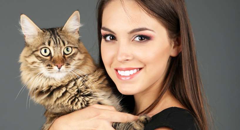 خدعة بصرية لقط مختفي داخل صورة