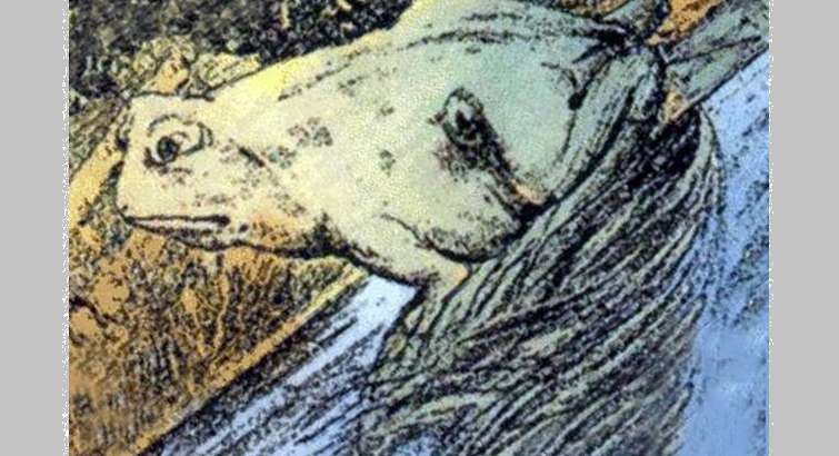 إختبار للشخصية حسب الحيوان الذي ترينه للوهلة الأولى