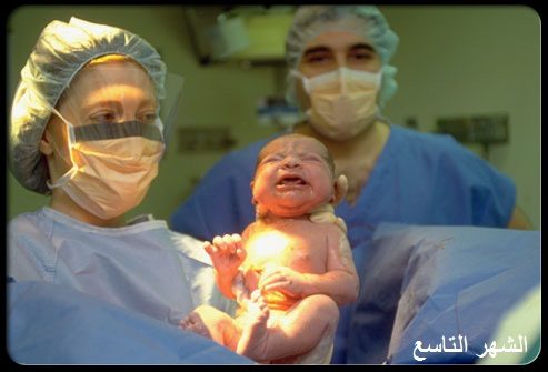 مراحل نمو الجنين بـ الصور | الحمل، الحامل، الطفل، شهر، القلب
