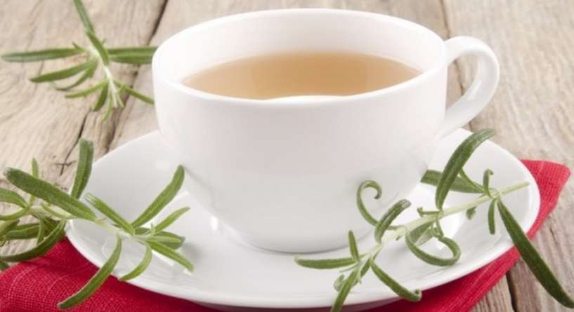 فوائد شرب القسط الهندي على الريق للصحة