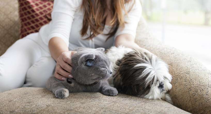 إختبار دقيق للشخصية من 5 كلمات