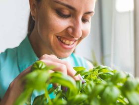 طرق آمنة للتخلص من البعوض وحماية الأطفال منها!