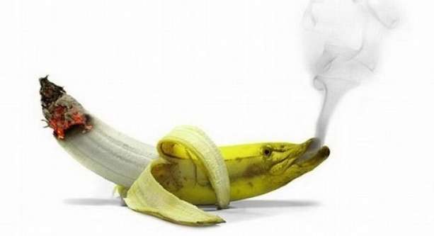 مقال عن التدخين | موضوع عن التدخين