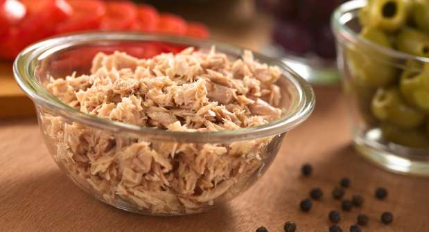 اضرار التونة للحامل