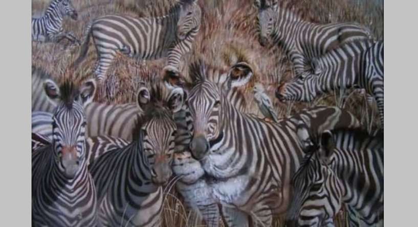 تحليل الشخصية من خلال صورة واحدة فقط