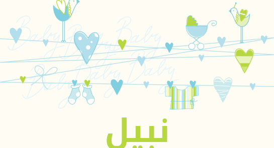 معنى اسم نبيل