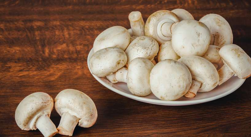 طريقة حفظ الفطر الطازح مدة طويلة