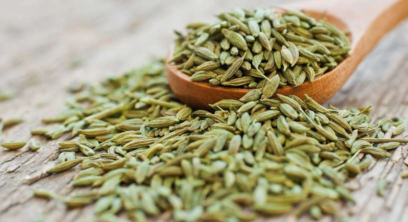 الفرق بين اليانسون والشمر