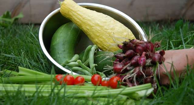 انزعاج الحامل من الخضار، هل هو أمر طبيعي في الفصل الأول؟