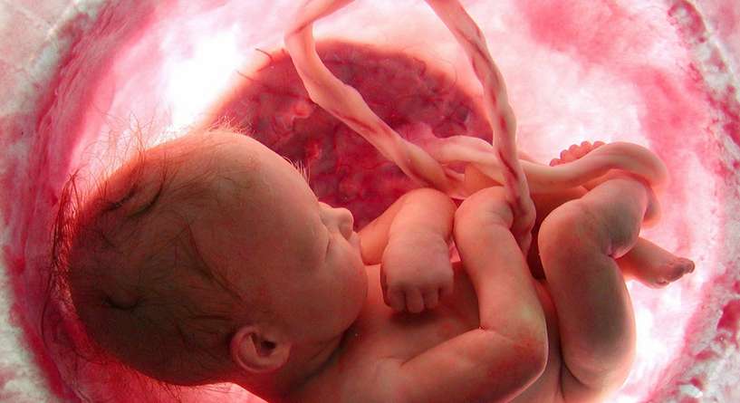 اسباب التفاف الحبل السري حول رقبة الجنين في الشهر التاسع