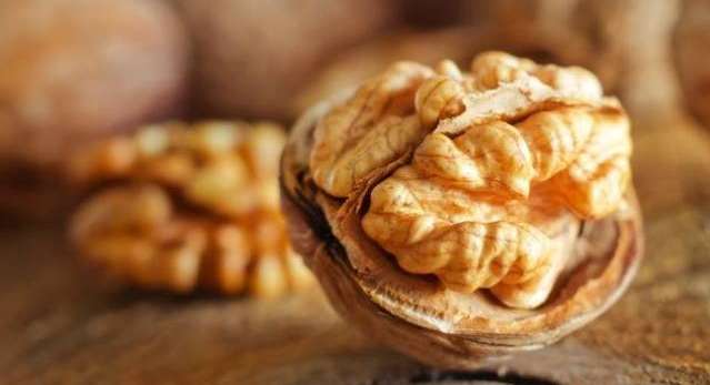 ﻿﻿﻿الجوز – ﻿الدماغ﻿﻿﻿﻿﻿