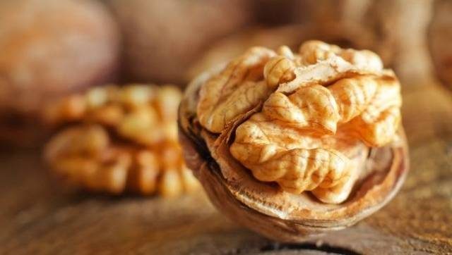 الجوز – الدماغ
