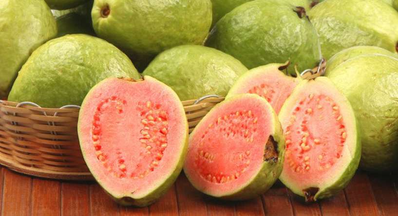 هل ورق الجوافه يضر الحامل