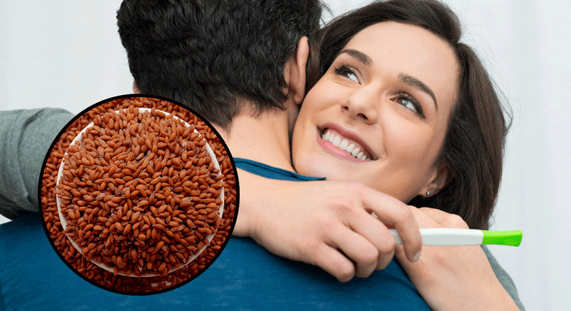 حب الرشاد للحمل