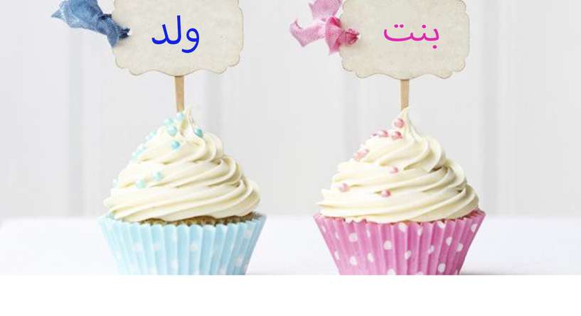 تشابه الاعضاء التناسليه للجنين في الشهر الرابع