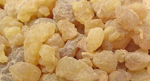 فوائد لبان الذكر للحامل