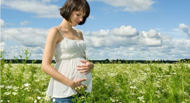 Field, Grassland, Outdoors