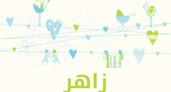 معنى اسم زاهر
