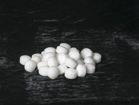 نصيحة حول كيفية الحفاظ على سلامة القطط من كرات العث