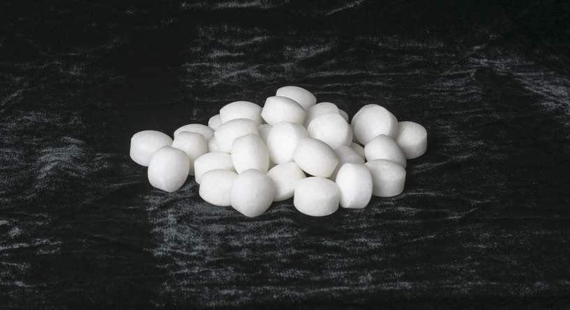 نصيحة حول كيفية الحفاظ على سلامة القطط من كرات العث