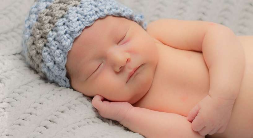 النظام الغذائي للحمل بولد