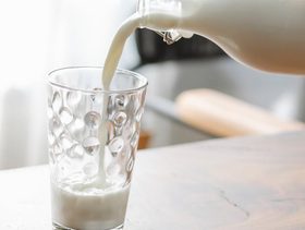لماذا حليب الابل يسبب اسهال