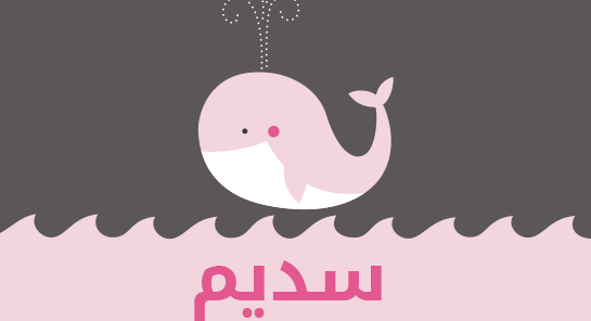 ما معنى إسم سديم؟