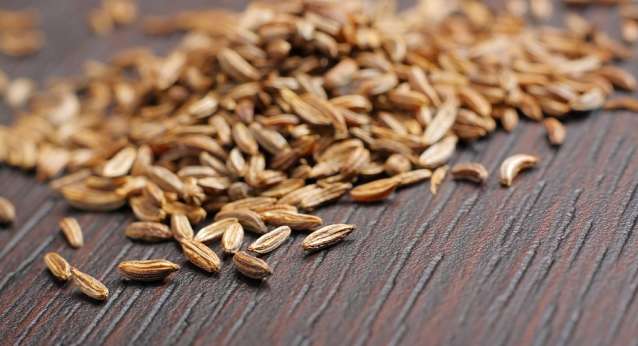 فوائد الكراوية للرضع