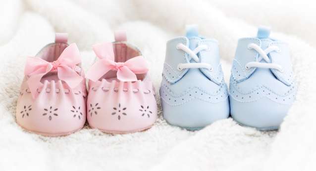 Clothing, Apparel, Shoe