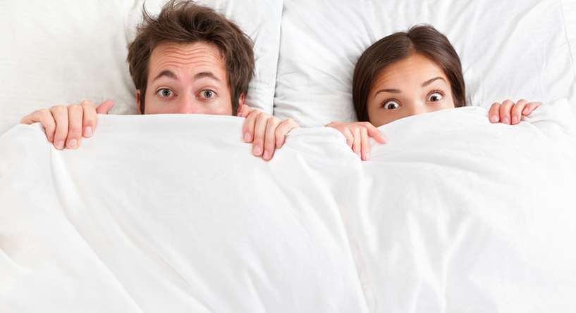 Blanket, Cushion, Furniture