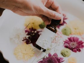 Person, Human, Plant