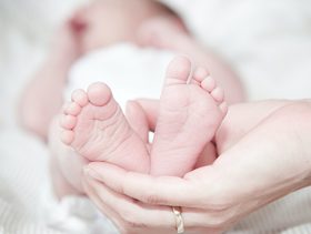 متلازمة التراجع الذيلي بالتفصيل