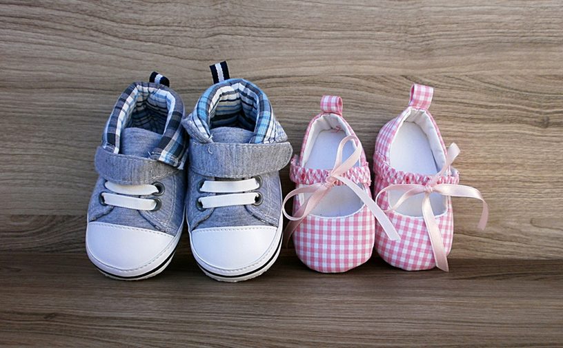 Clothing, Apparel, Shoe